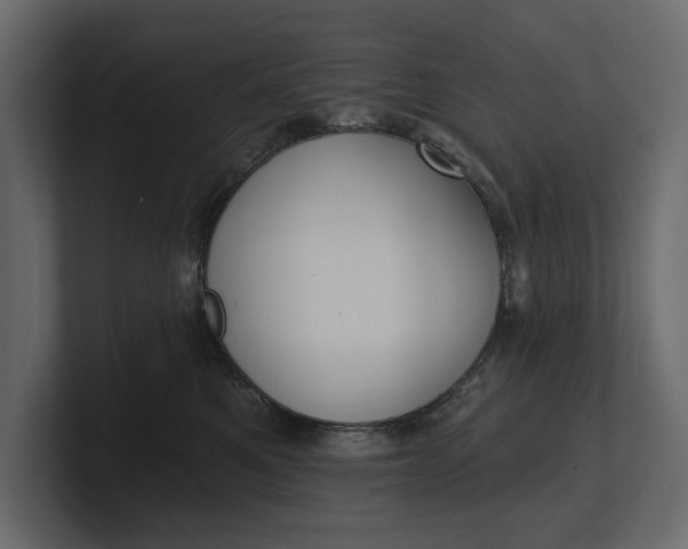 X0000100470521200806271144