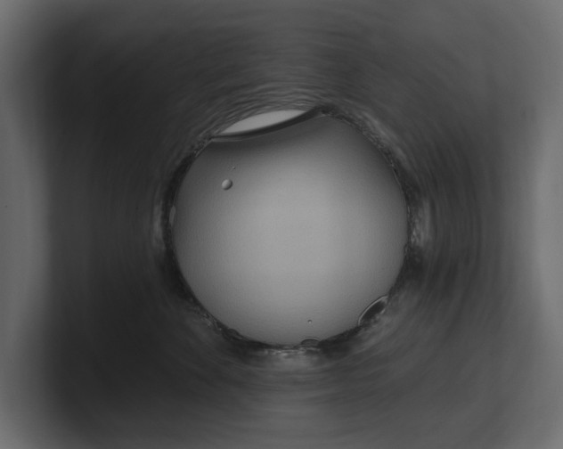 X0000100470524200806271144