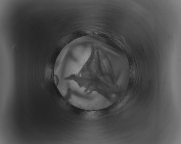 X0000100470527200806271144