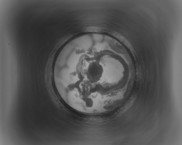 X0000100470529200806271143