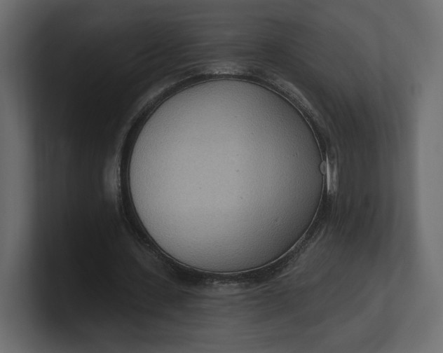 X0000100470531200806271143