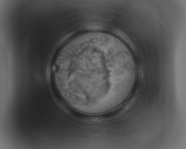 X0000100470533200806271143