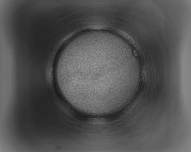 X0000100470535200806271143