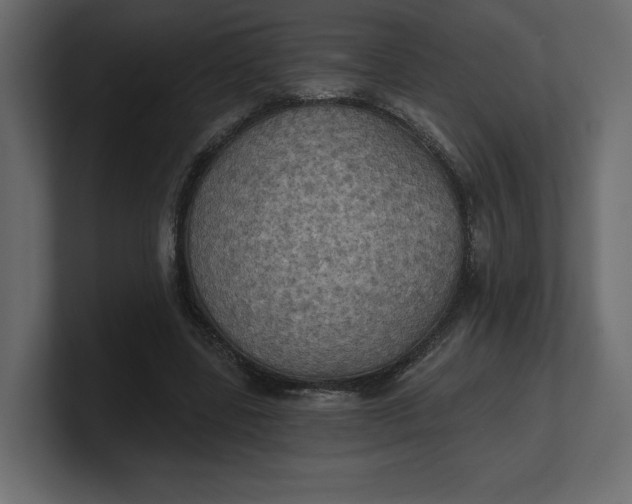 X0000100470539200806271143