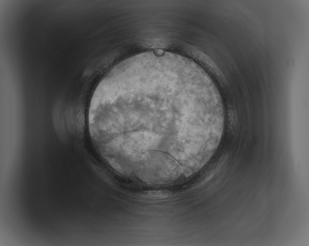 X0000100470541200806271143