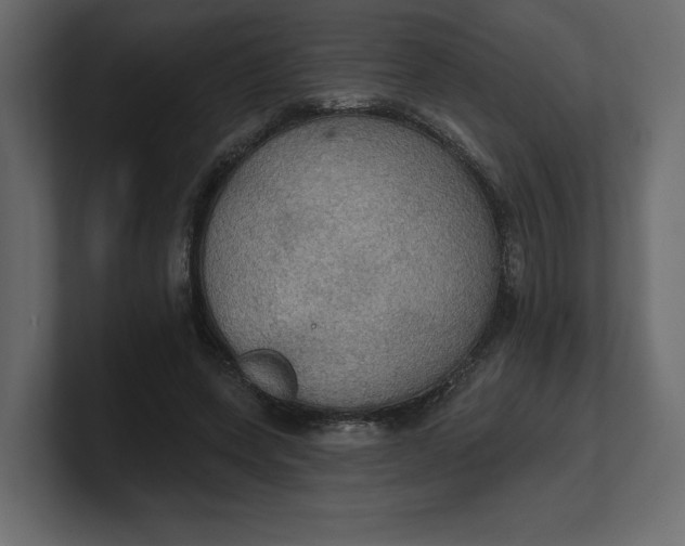 X0000100470543200806271143