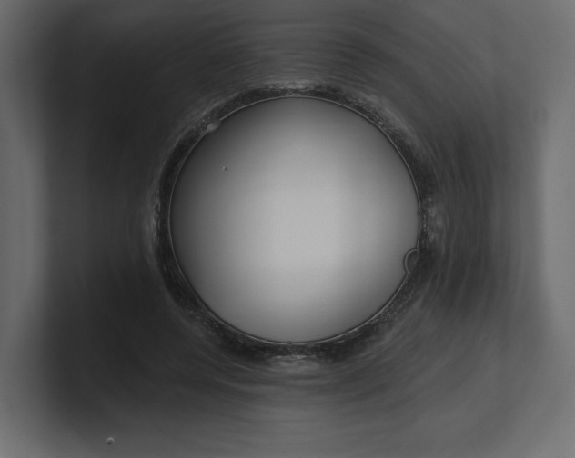 X0000100470544200806271143