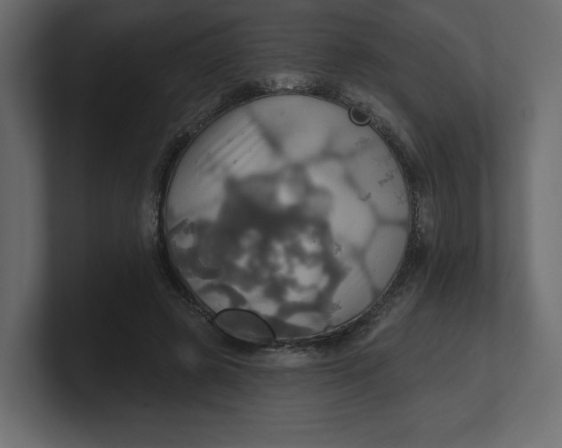 X0000100470545200806271144