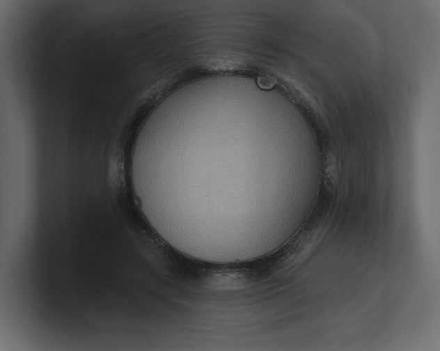 X0000100470547200806271144