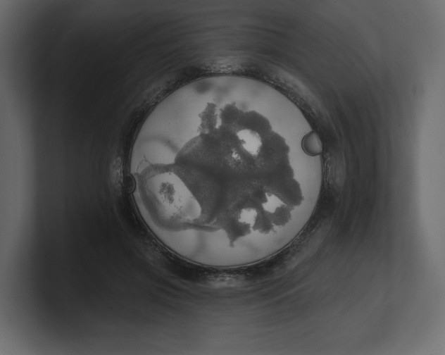 X0000100470549200806271144