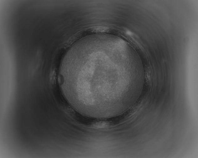 X0000100470551200806271144