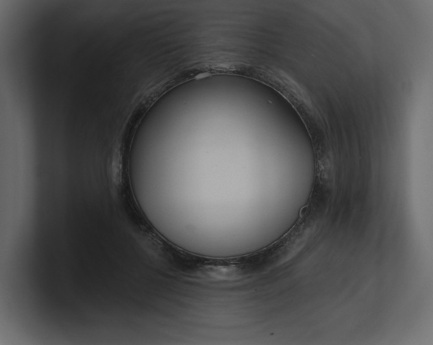 X0000100470552200806271144