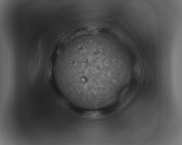 X0000100470554200806271144