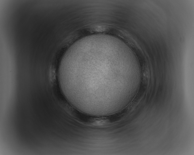 X0000100470555200806271144