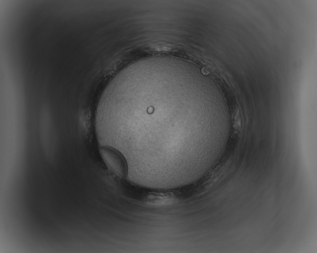 X0000100470559200806271144