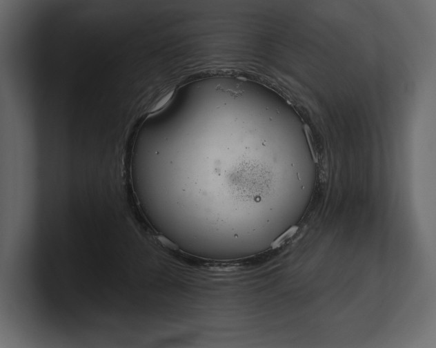 X0000100470560200806271144