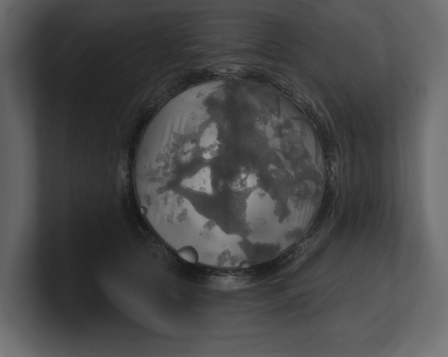 X0000100470561200806271144