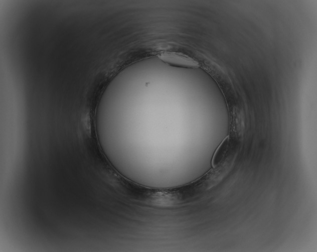 X0000100470562200806271144