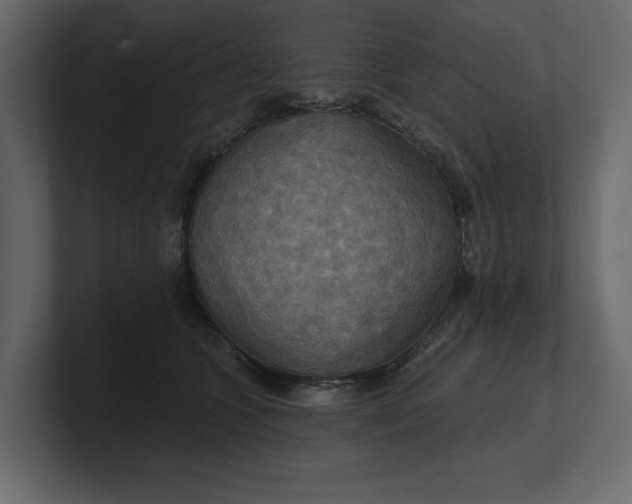 X0000100470563200806271144