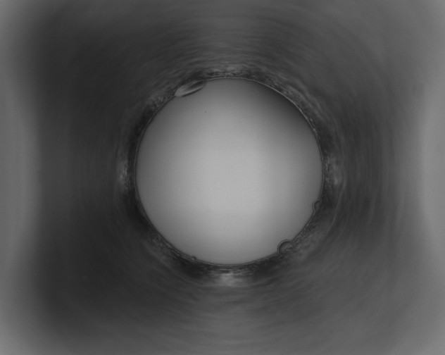 X0000100470564200806271144