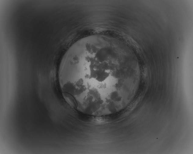 X0000100470565200806271144