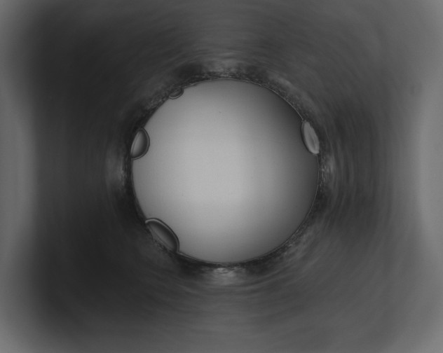 X0000100470566200806271144