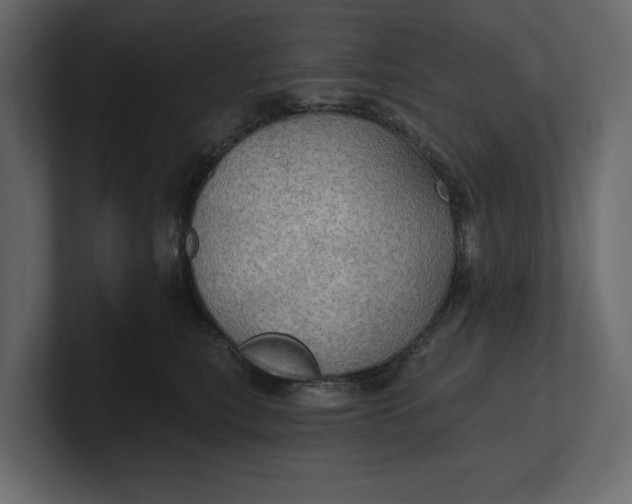 X0000100470567200806271144