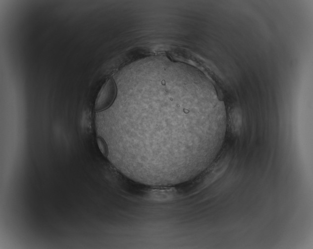 X0000100470571200806271144