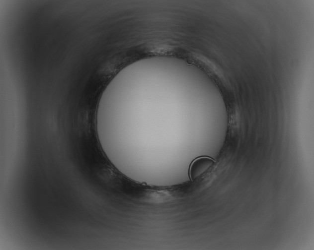 X0000100470572200806271144