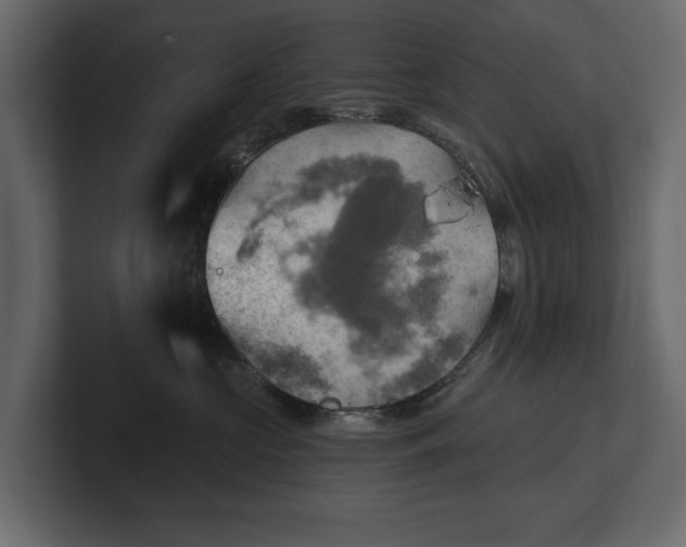 X0000100470573200806271144