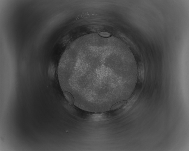 X0000100470574200806271144