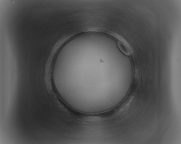 X0000100470577200806271143