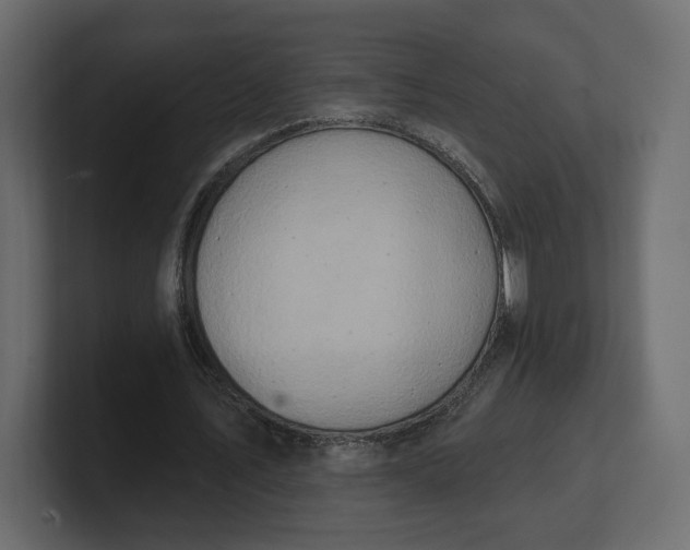 X0000100470579200806271143