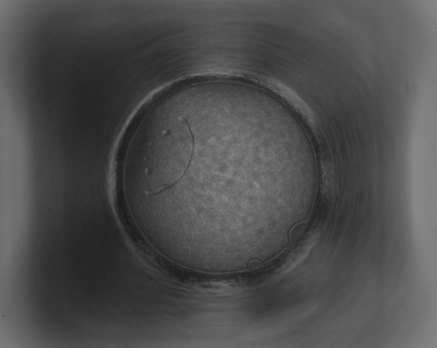 X0000100470580200806271143