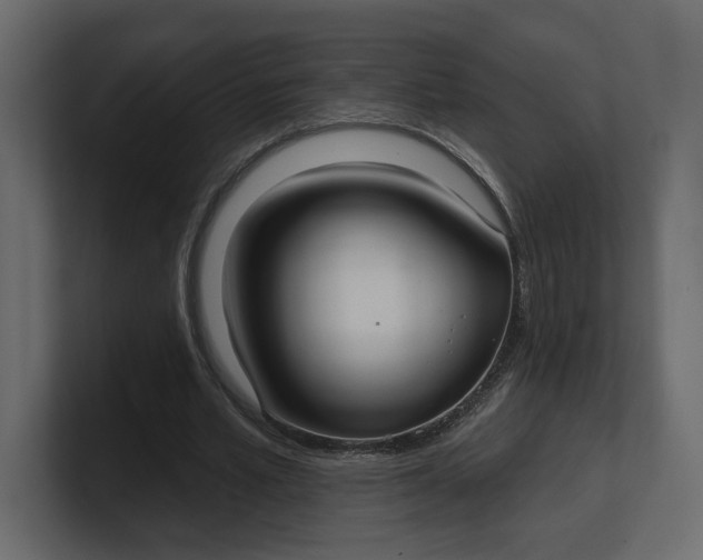 X0000100470581200806271143