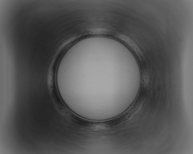 X0000100470583200806271143