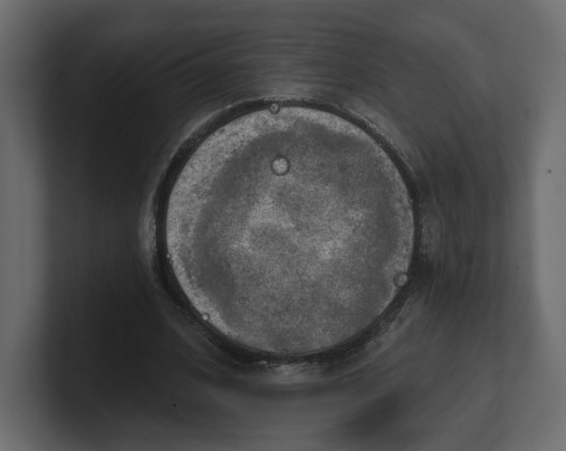 X0000100470584200806271143