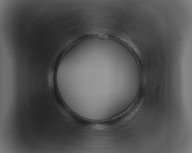 X0000100470585200806271143