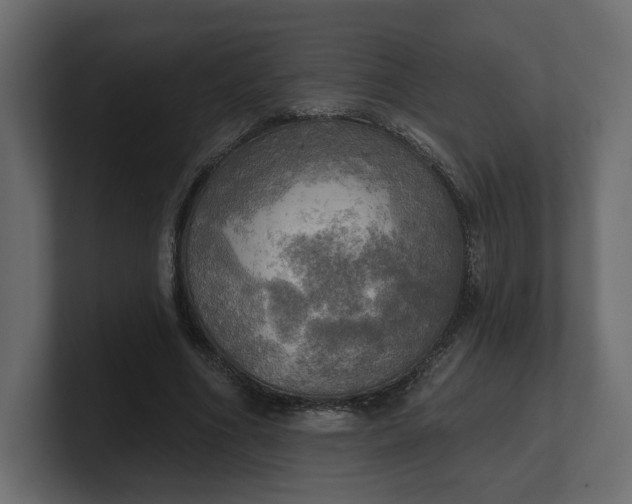 X0000100470586200806271143