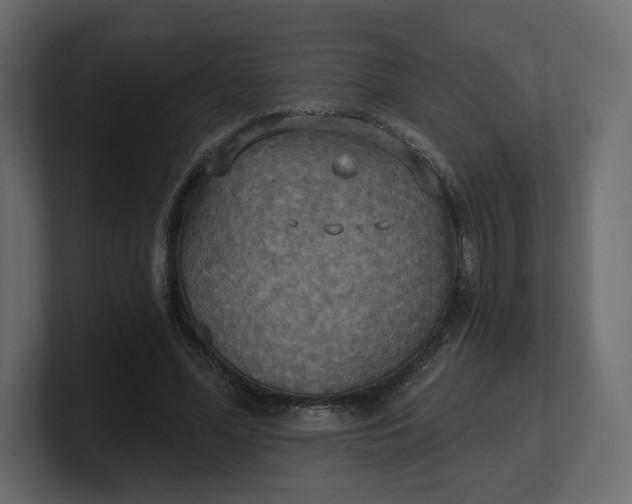 X0000100470588200806271143