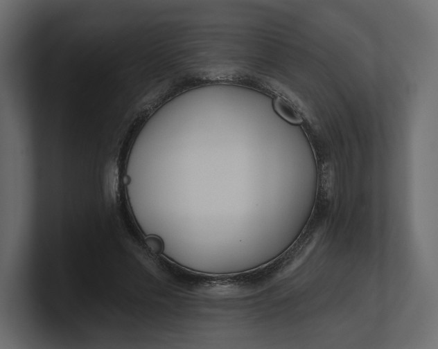 X0000100470589200806271143