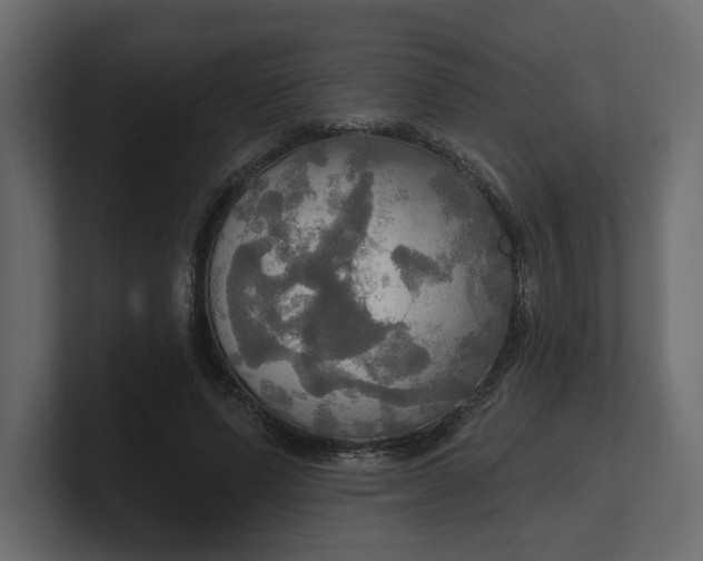 X0000100470591200806271143