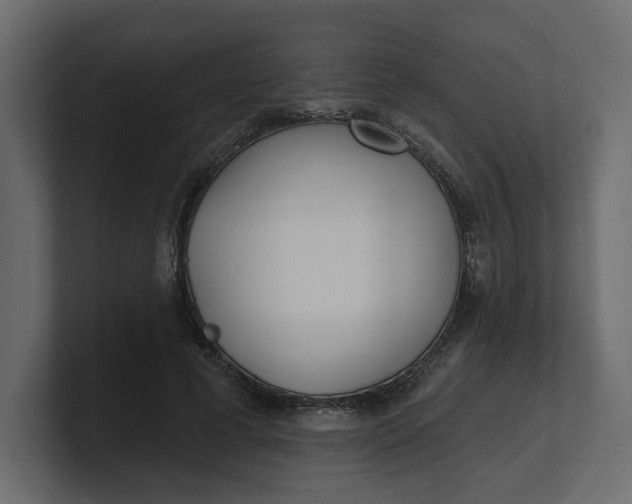 X0000100470593200806271143