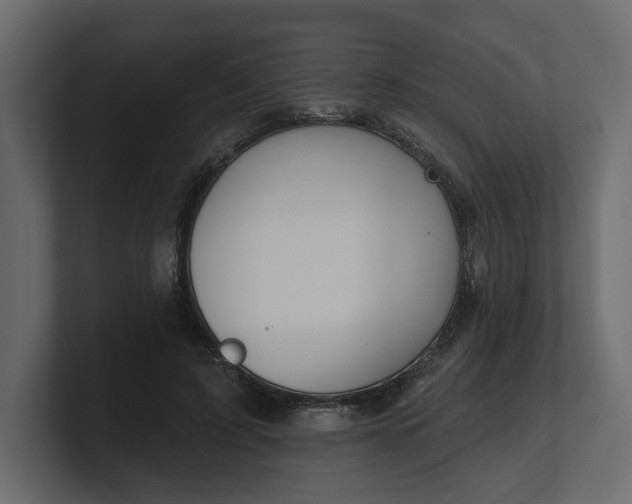 X0000100470595200806271143