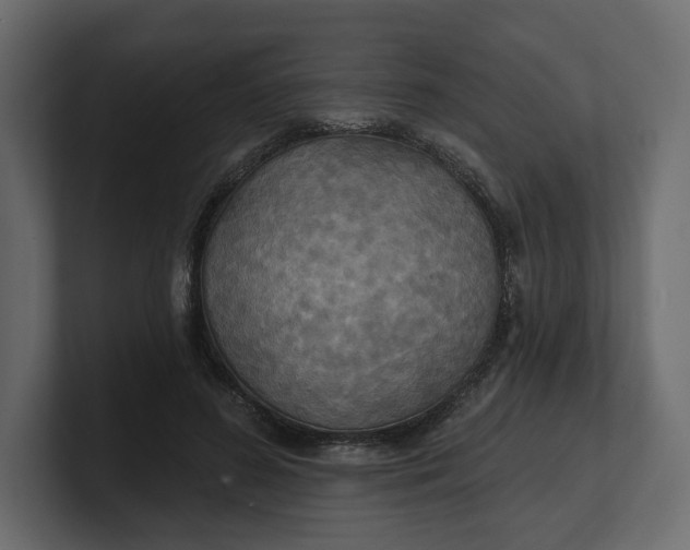 X0000100470596200806271143