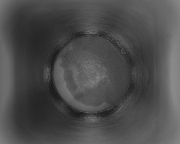 X0000100470598200806271143