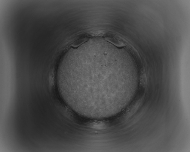 X0000100470604200806271143