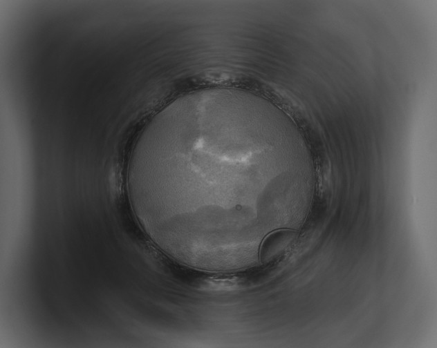 X0000100470606200806271143