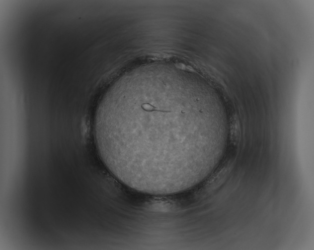 X0000100470608200806271143