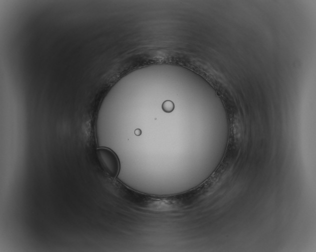 X0000100470611200806271143